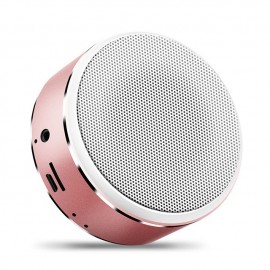 Mini Portable Aluminium Alloy  Hifi Sound Speaker